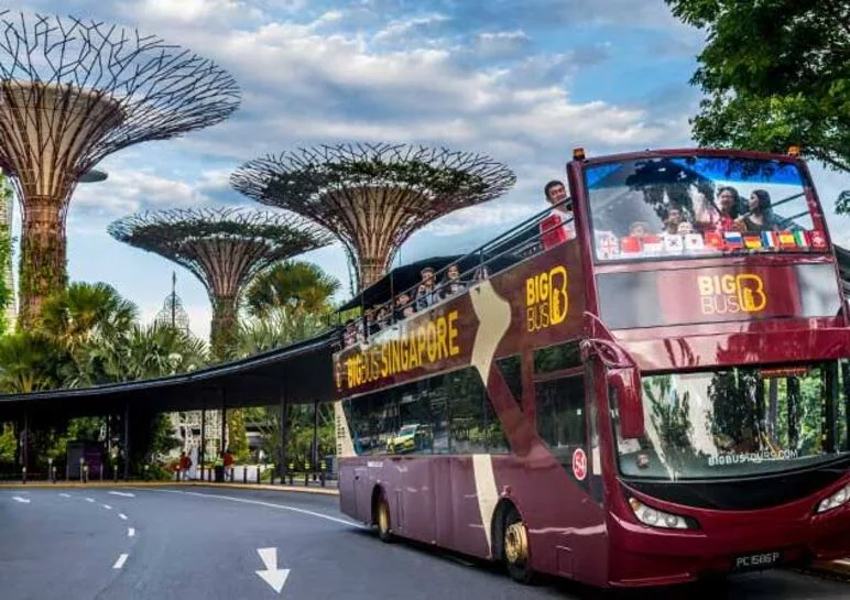 Singapore hop on hop off bus