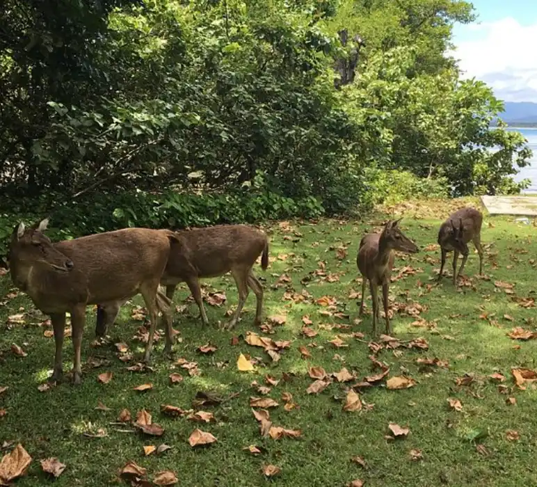 Pangandaran National Park