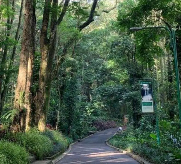 Taman Hutan Raya