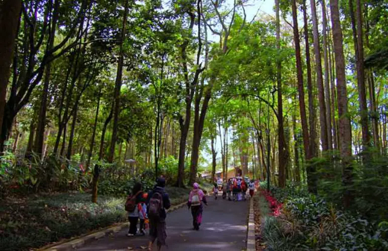 Taman Hutan Raya Ir. H. Djuanda 