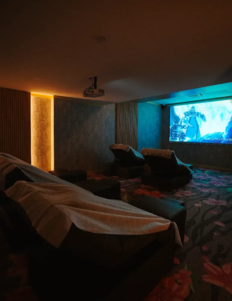 theatre room for premium pacakage