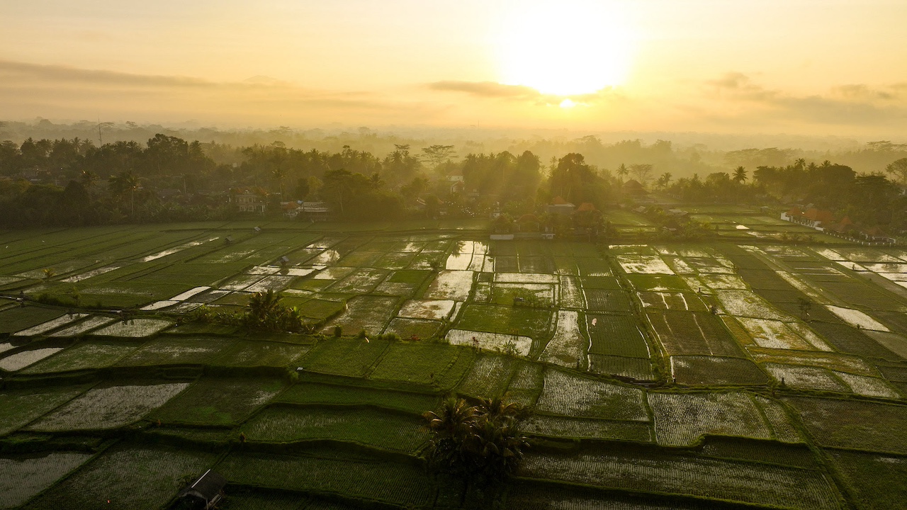 nyepi bali