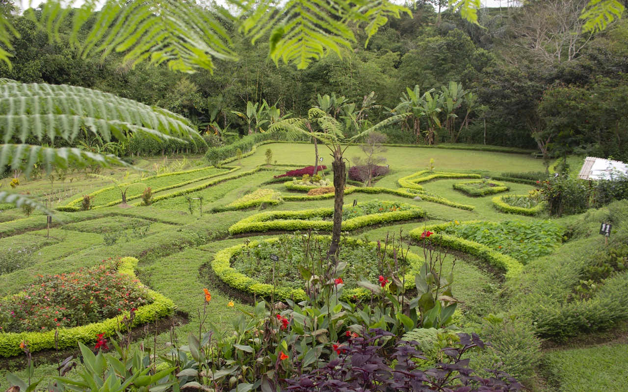 Exploring the Natural Herbs, Flowers, and Vegetables Garden at Homm Saranam Baturiti