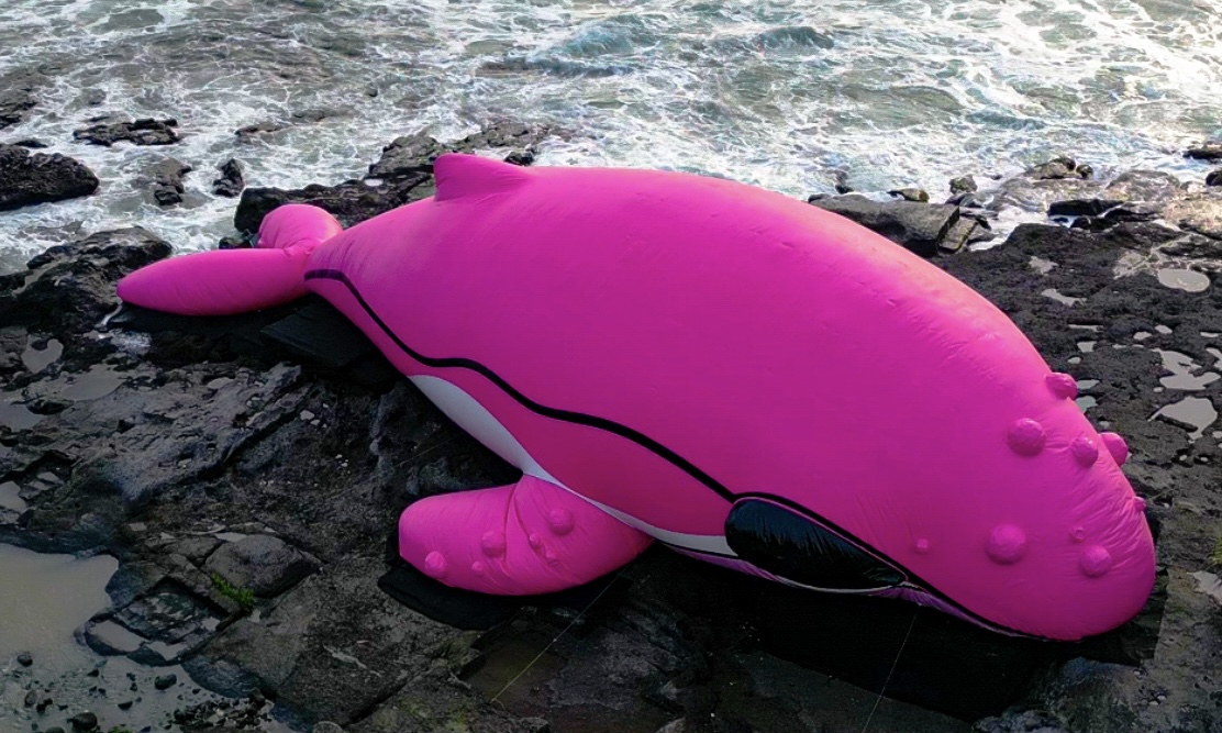 Arkiv Reveals 30 Meter Pink Whale Stranded at Tanah Lot