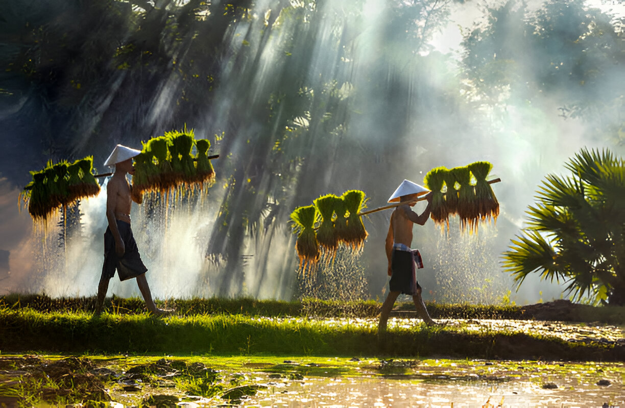 Indonesia’s Plan to Stop Food Imports (And How it Would Affect Bali Tourism)