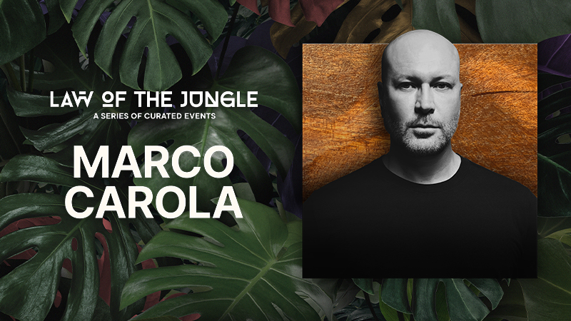 MARCO CAROLA at Savaya