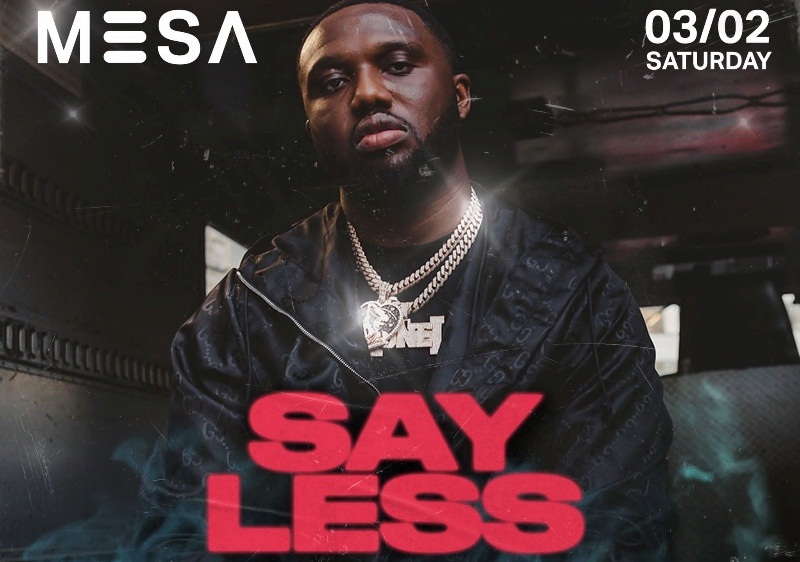 Mesa_Say_Less