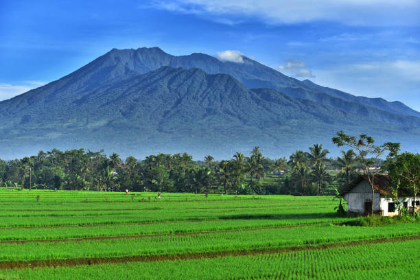 Things to Do in Garut