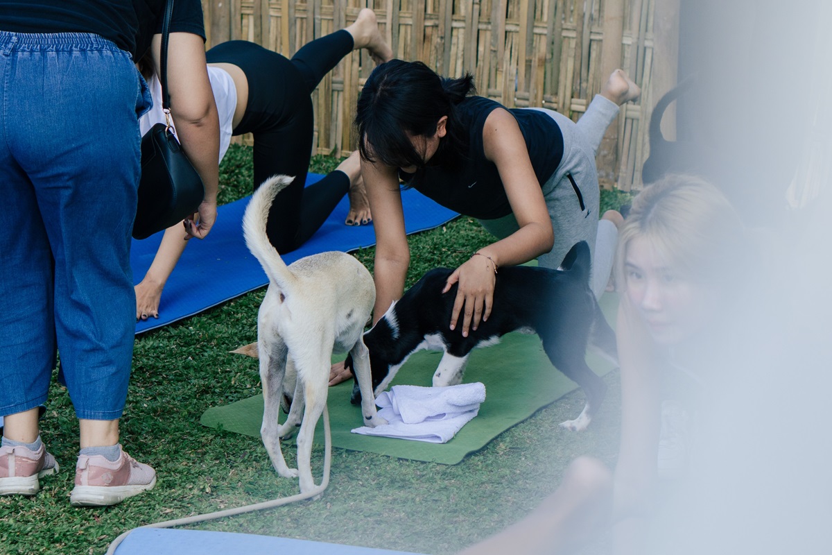 'Paws & Pose' Yoga Session and Adoption by The Westin Resort & Spa Ubud Bali with BAWA Bali