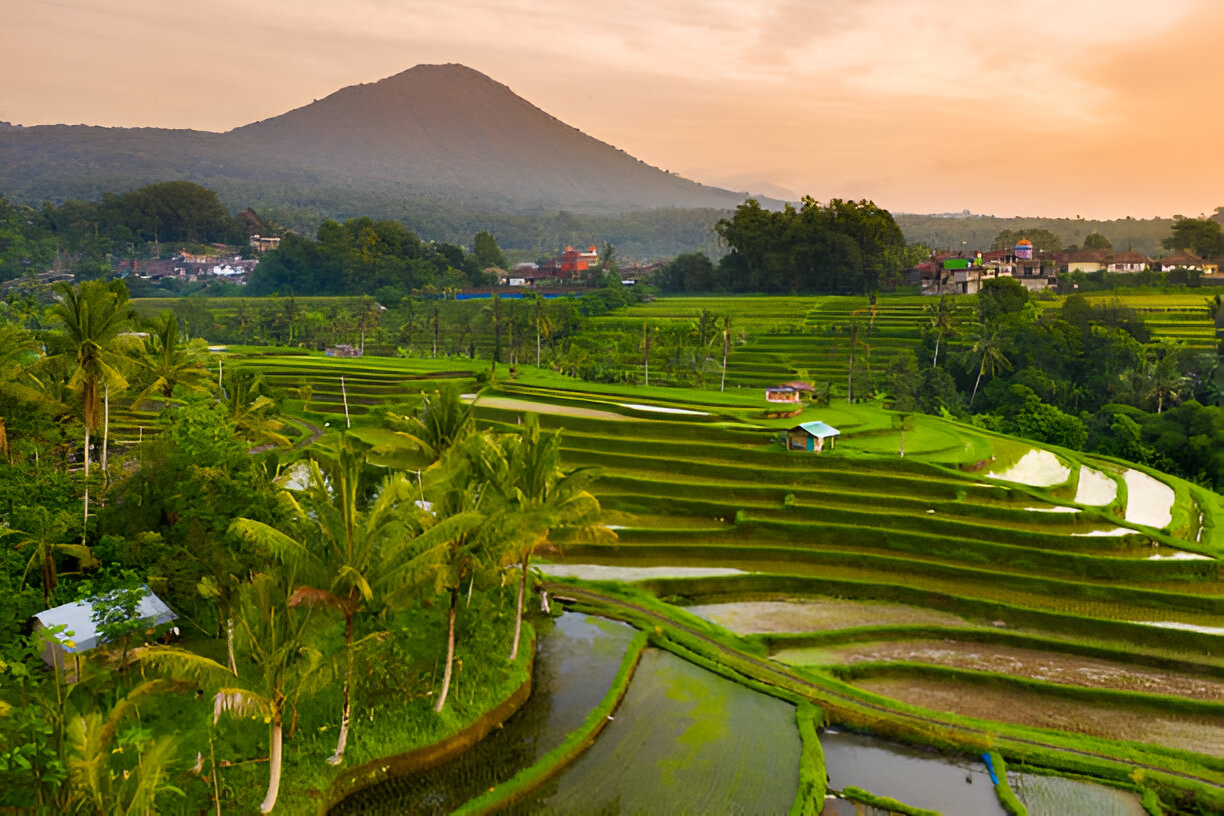 Aerial Scene of Verdant Jatiluwih Rice Terrace Near Dawn