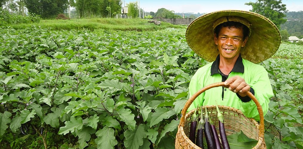 Bagus Agro Pelaga