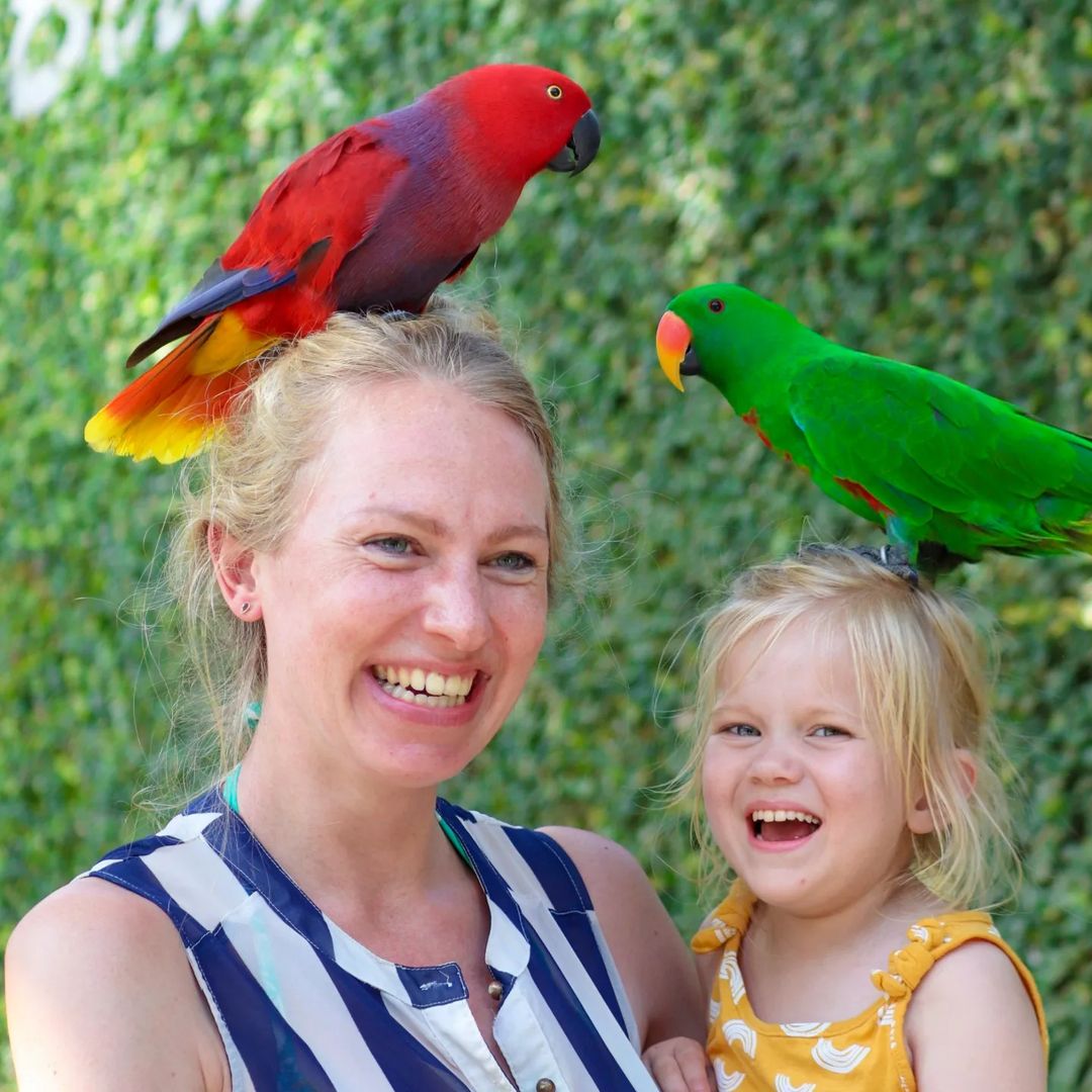 Bali Bird Park Best Nature Toddler Activities