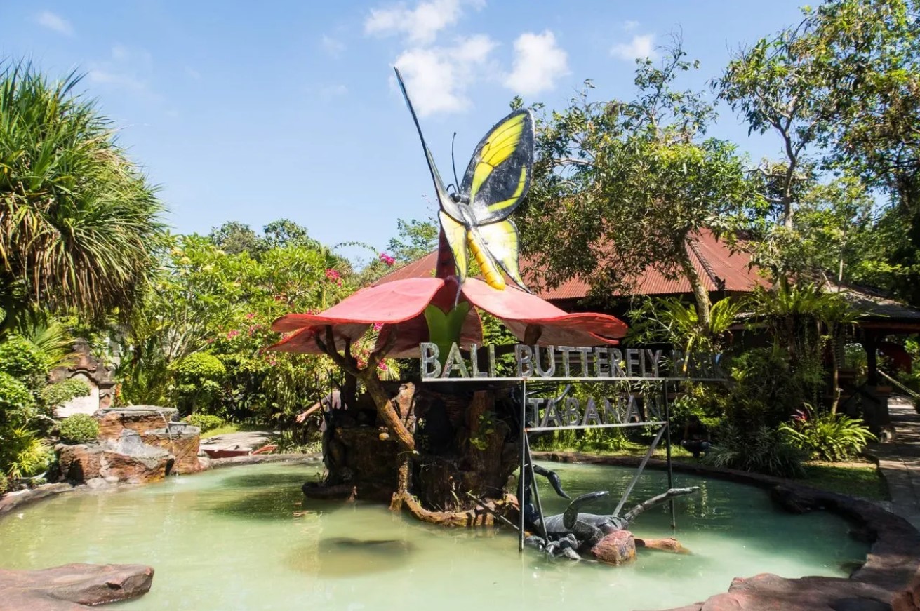 Bali Butterfly Park Best Heritage Destinations Tabanan