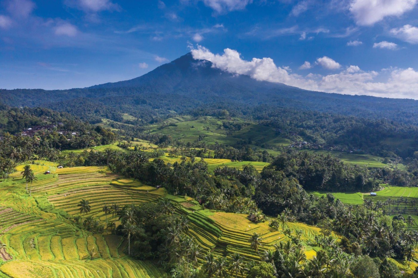 Mount Batukaru