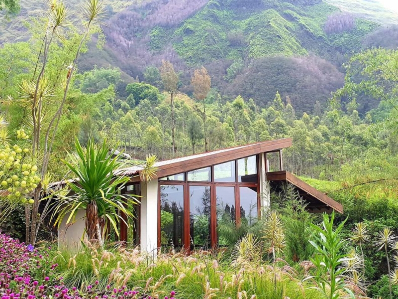 Best Places to Stay Near Bromo: From Cozy Retreats to Luxury Escapes