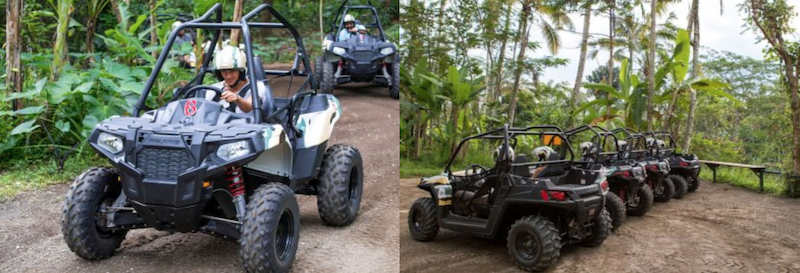 Buggy Adventure in Bali