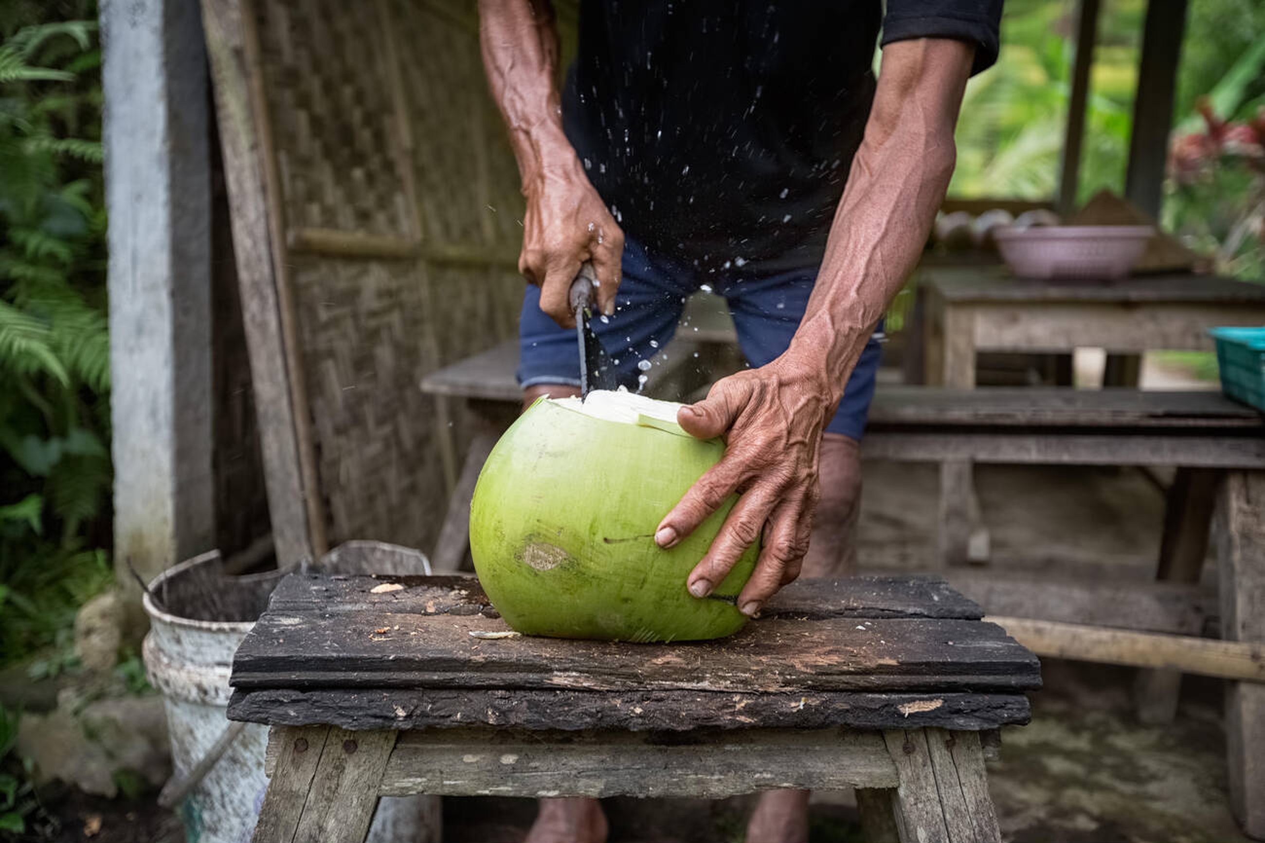 The Significance of Coconut Bali 2