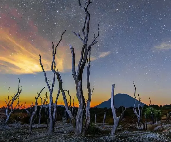 Gunung Papandayan