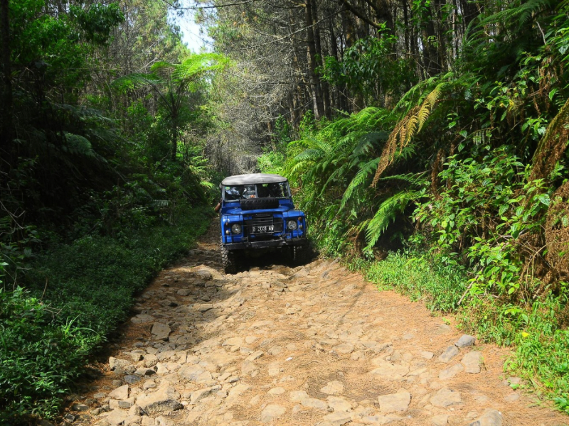 Jeep advanture