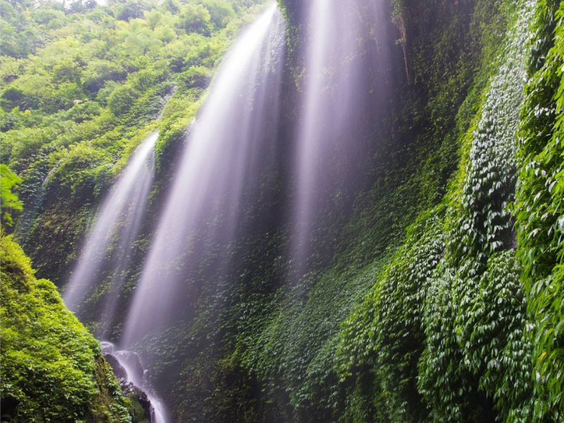 The Majestic Madakaripura Waterfall