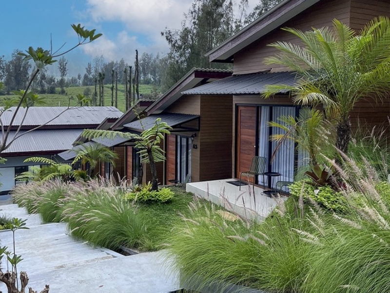 Best Places to Stay Near Bromo: From Cozy Retreats to Luxury Escapes