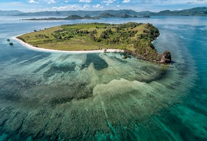 Blue Mathis Gili Asahan