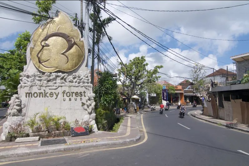 Monkey Forest Road