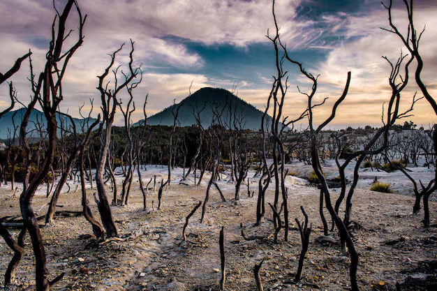 Mount Papandayan