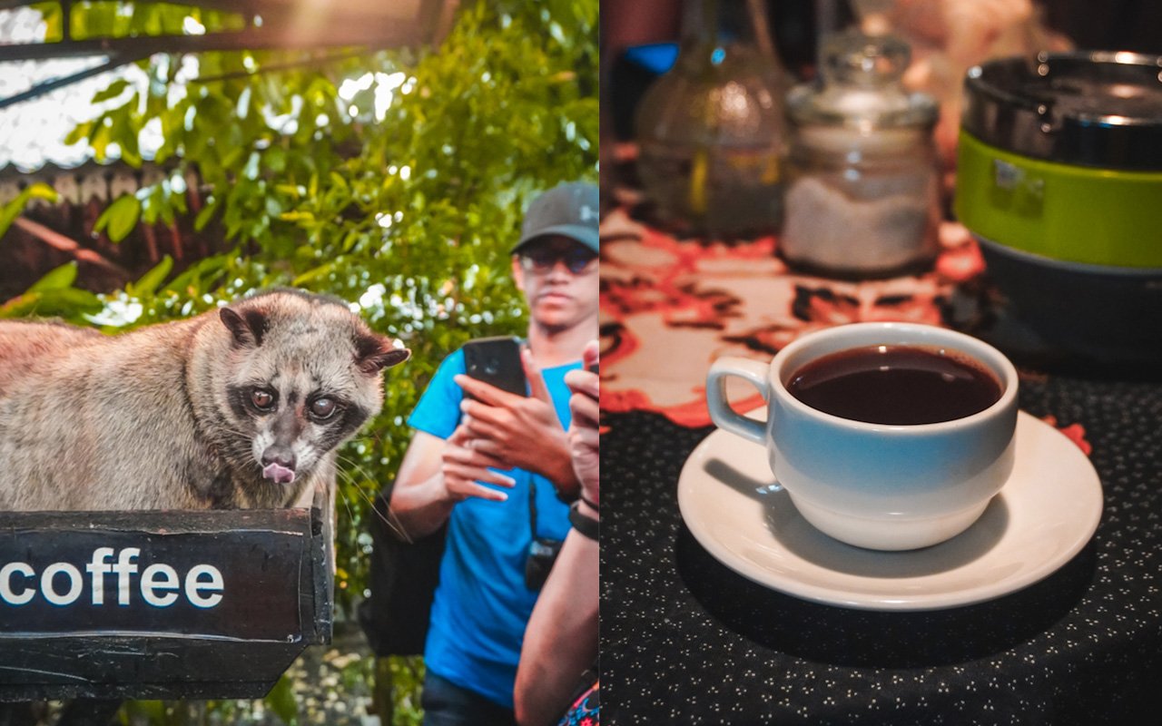 Pawon Luwak Coffee