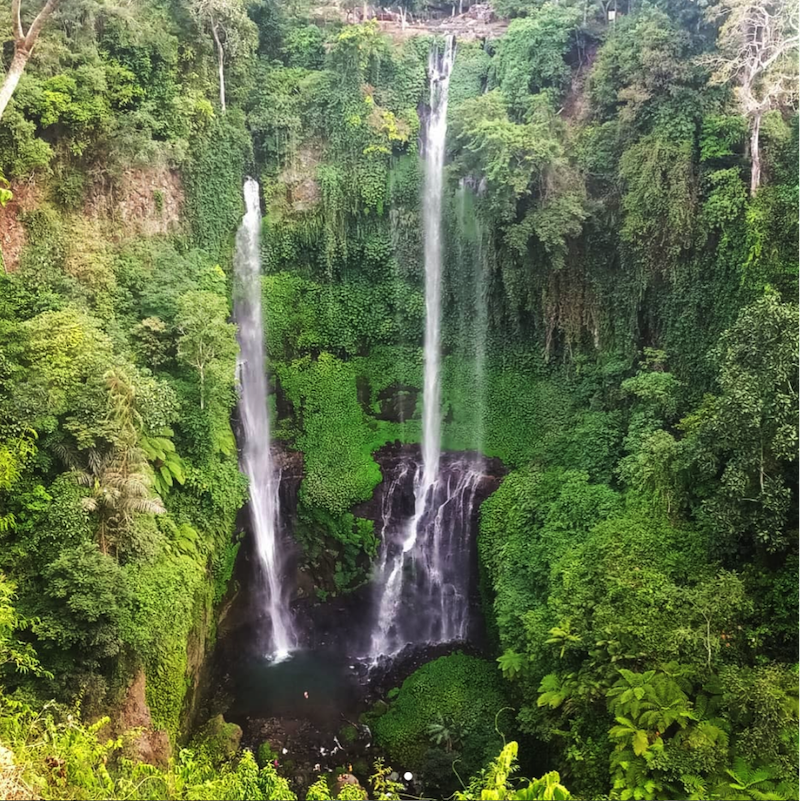 Sekumpul & Fiji Waterfalls