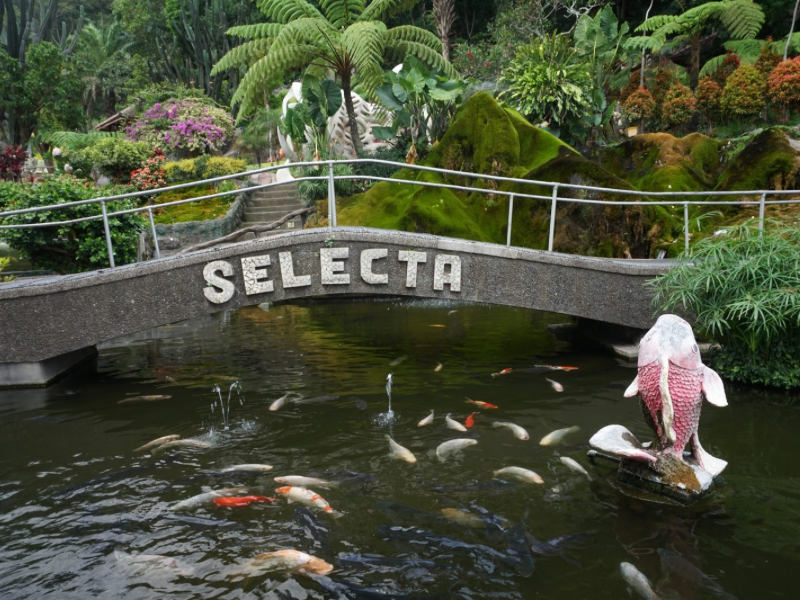 Selecta recreation park