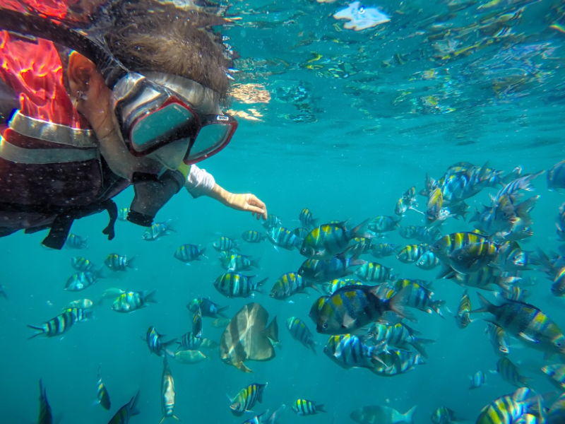 Snorkeling at Bangsring 