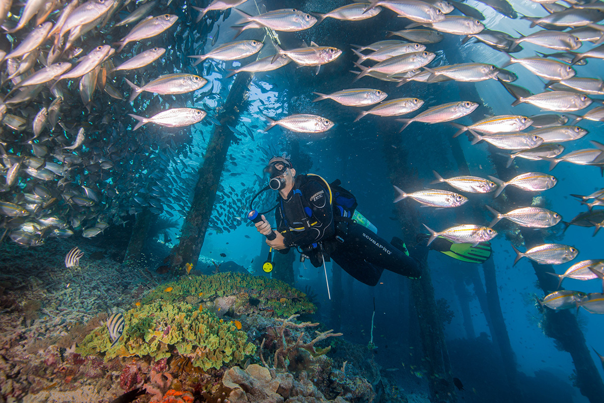 dive-sites-in-raja-ampat