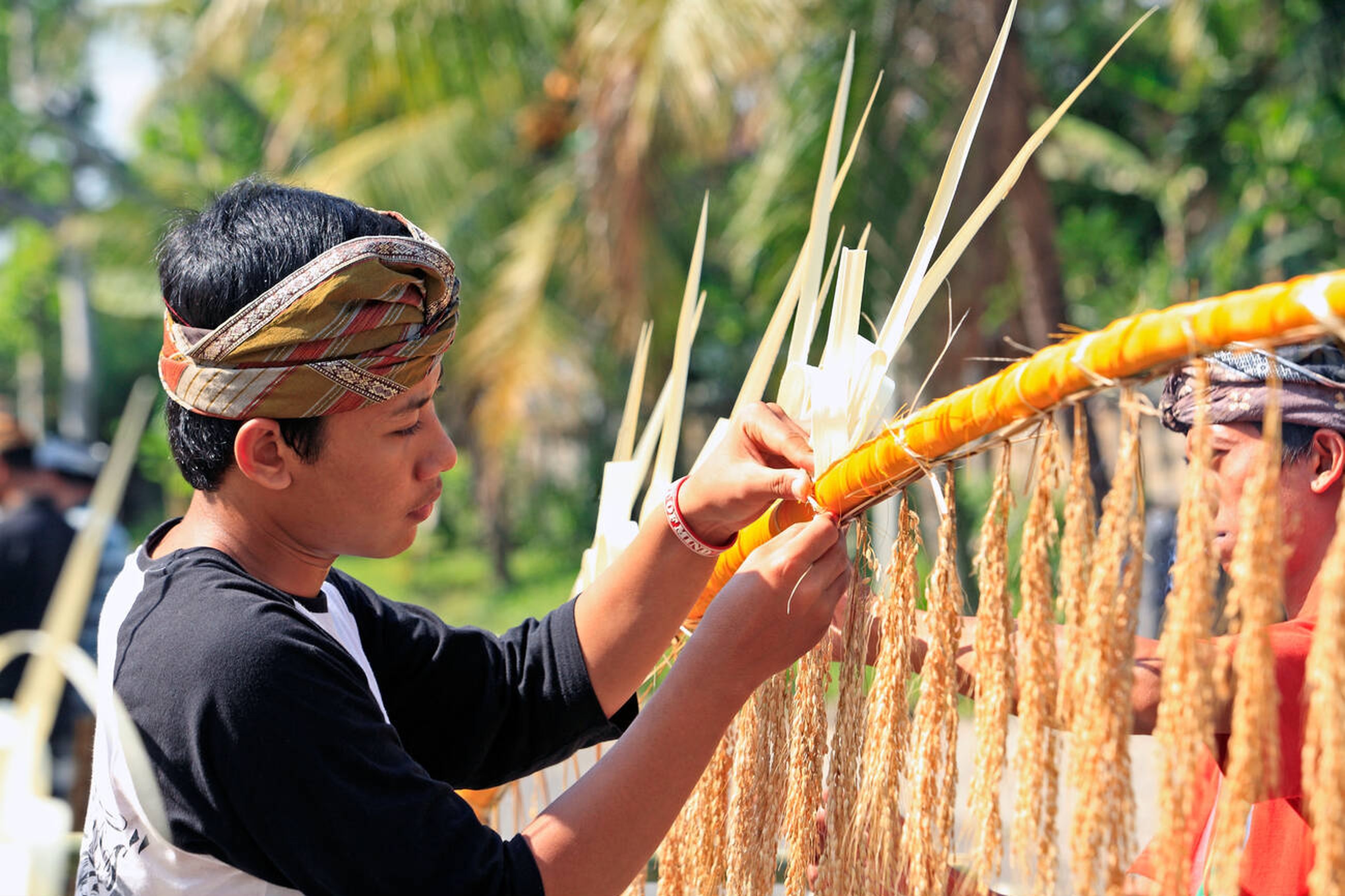 Why This Village Didn't Celebrate Ogoh Ogoh -  Penjor Making Illustration