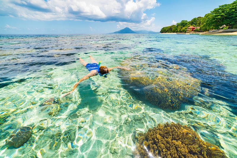 snorkeling maluku