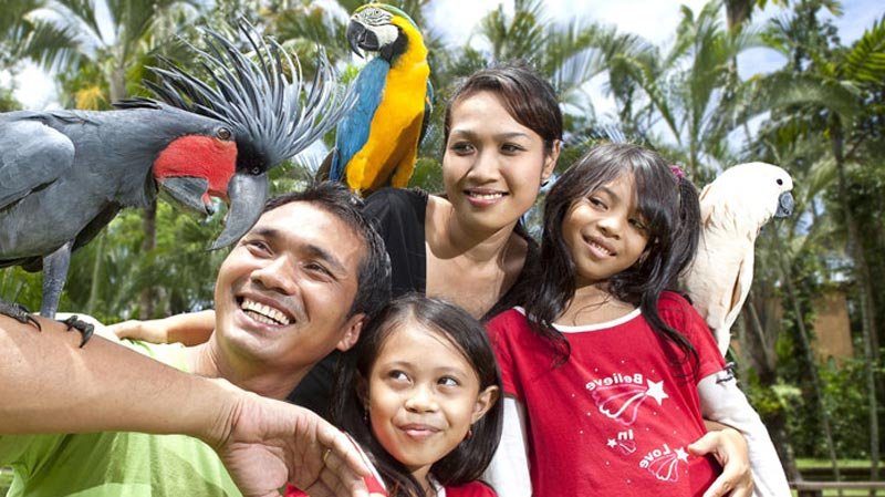 bali bird park