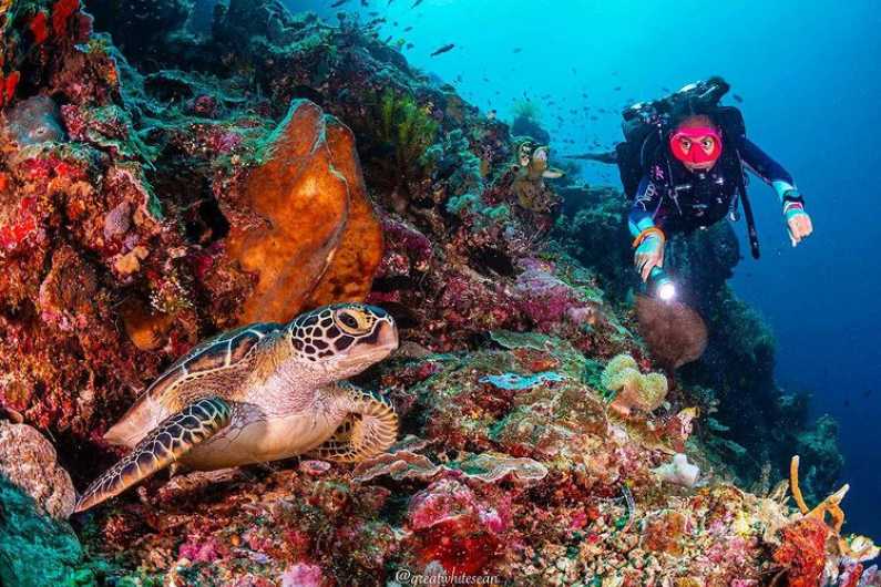 Best Diving Spots in Indonesia