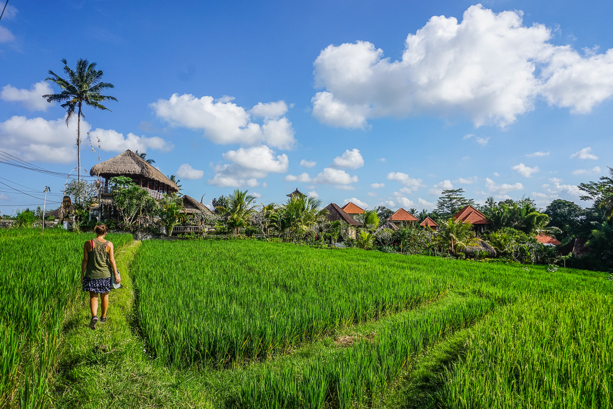 Why You Must Explore Ubud On Foot 1