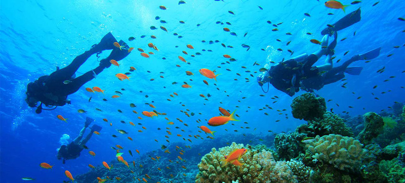 Best Diving Spots in Indonesia