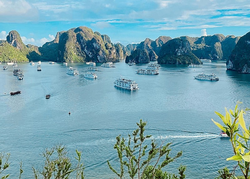 Overseas Escapes: Ha Long Bay and Sa Pa