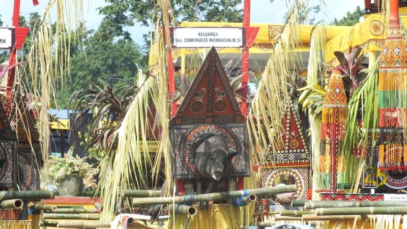 Unique Christmas Traditions in Indonesia