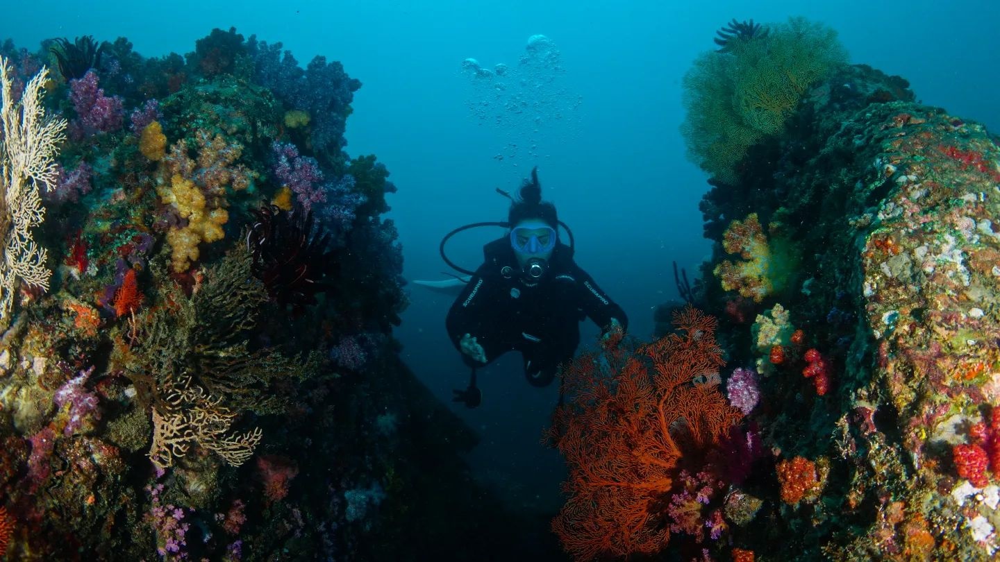 Best Diving Spots in Indonesia