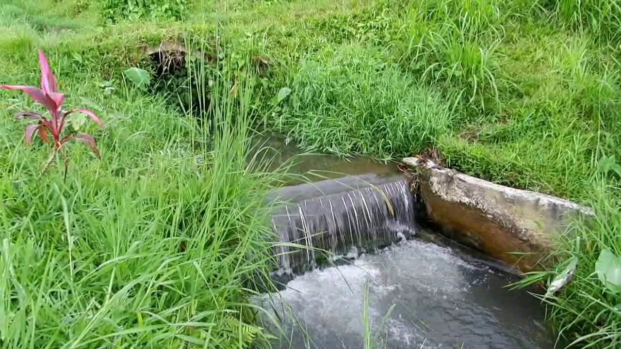 Subak Water System