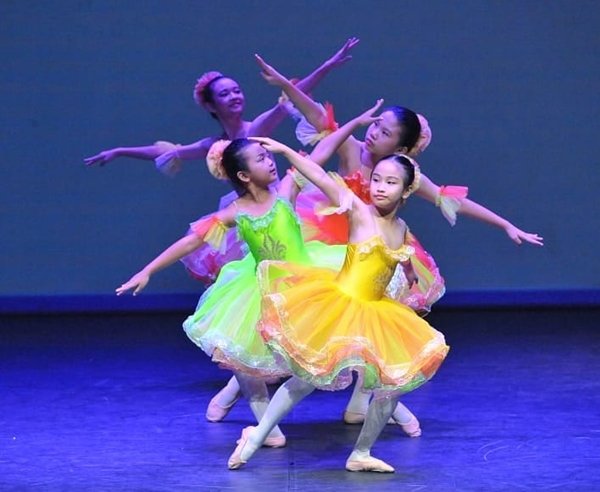 premiereschoolofballet Website