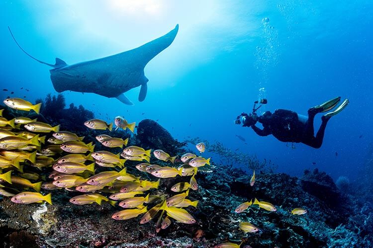 Best Diving Spots in Indonesia