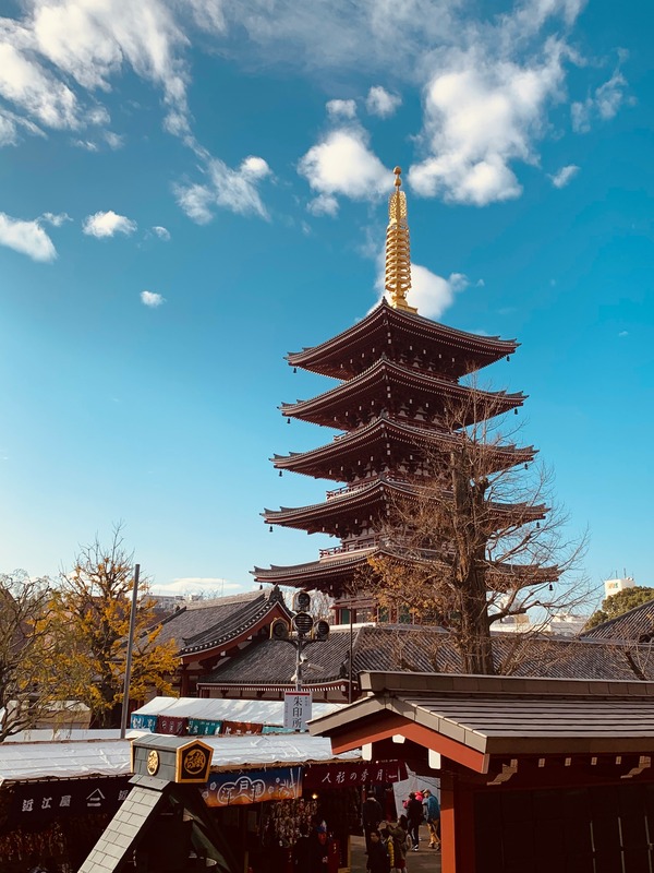 Japan Guide: 24 Hours in Tokyo