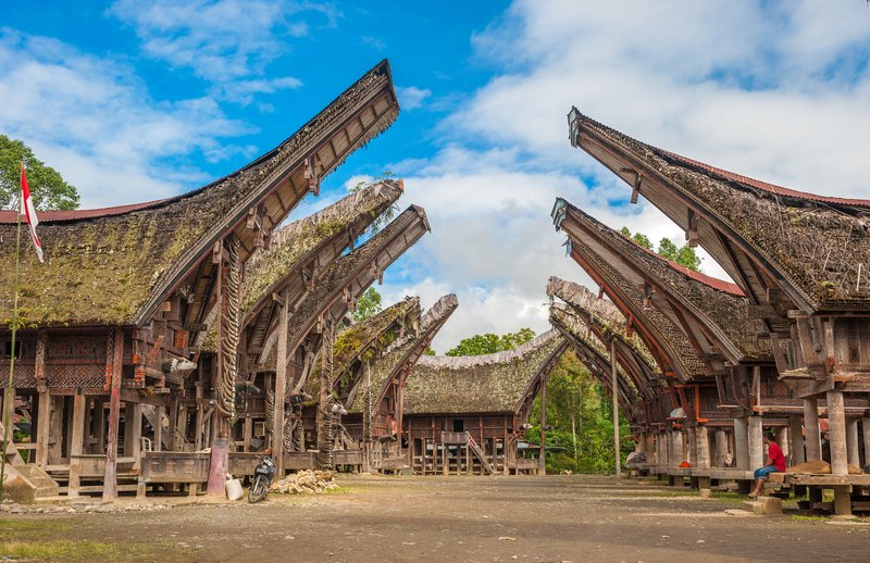 Visit the Tongkonan Houses Toraja