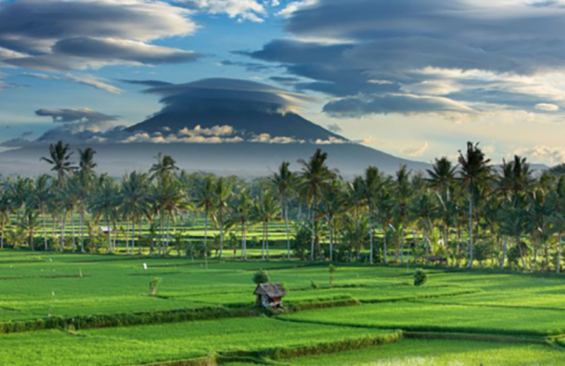 ubud trekking view