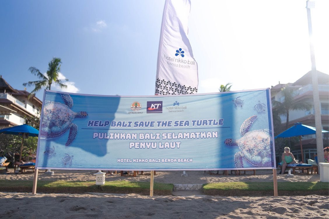 The Beach in Front of Hotel Nikko Bali is Trusted by the Mother Turtle to   Lay Their Eggs for the 3rd Times