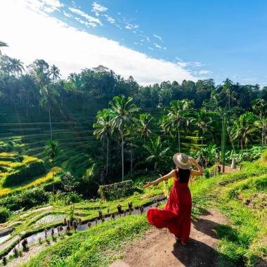 Best Eat, Drink, Pose, and Play Destinations in Ubud; A Comprehensive Guide